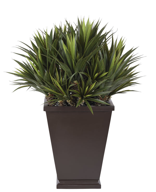 Aloe Plant in Large Planter, 49″