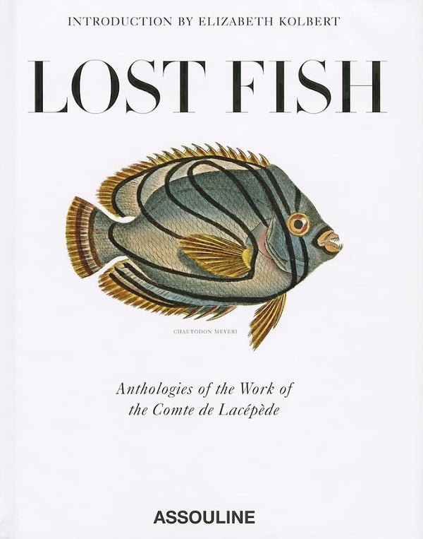 LOST FISH