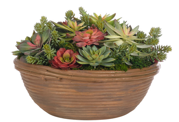 Succulent, Green Red, Terracotta Bowl 11″