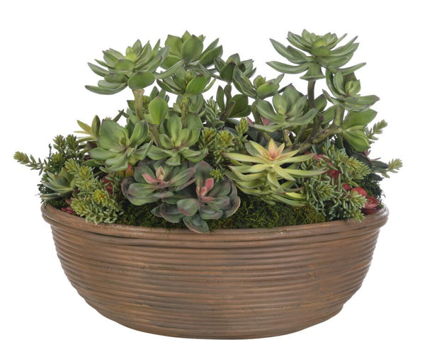 Succulent, Green Red, Terracotta Bowl 11″