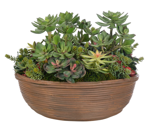 Succulent, Green Terracotta Bowl 19″