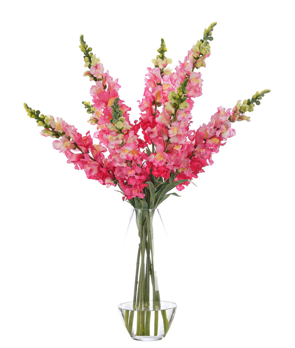 Snapdragon, Fuchsia, Glass Vase 31″