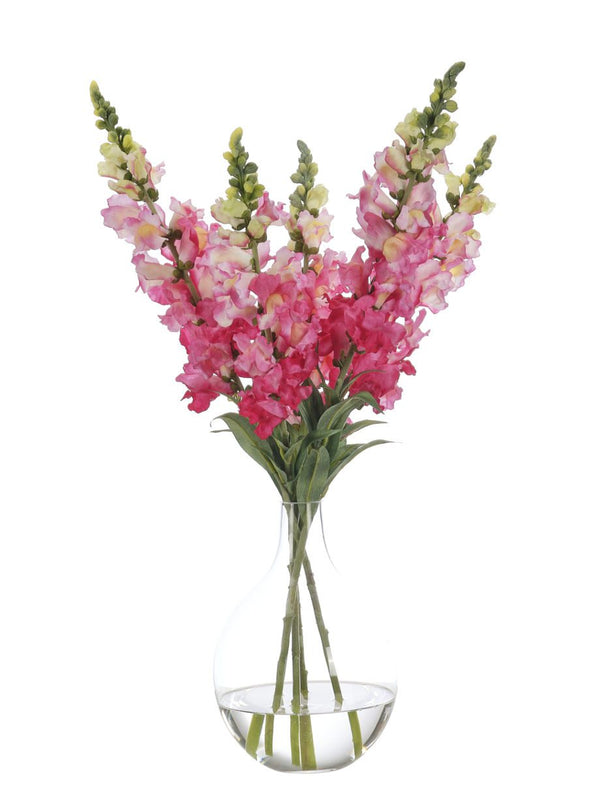 Snapdragon, Fuchsia, Glass Vase  24″