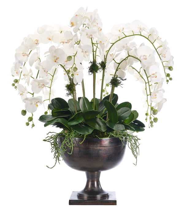 Orchid Phalaenopsis, Cream White Metal Urn 41″