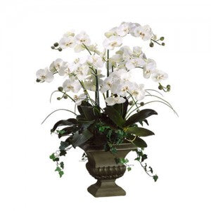 ORCHID PHHALAENOPSIS White Aged Urn