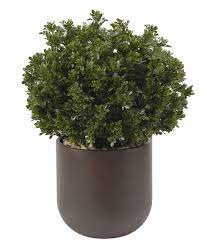Boxwood in Large Planter, Faux Greenery, 43″