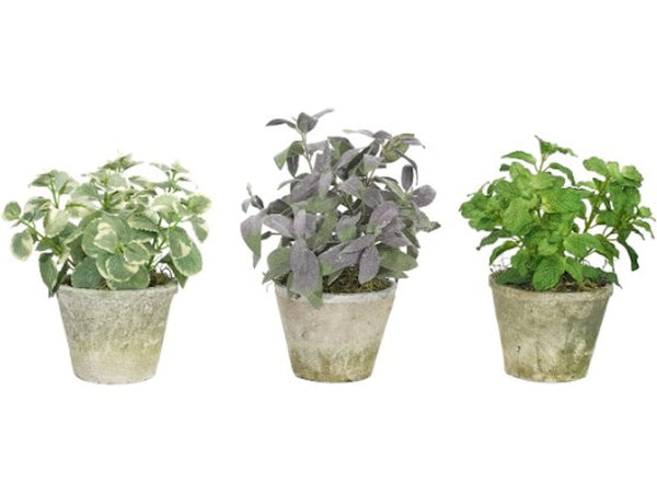 HERBS TERRCOTTA POT, Set of 3