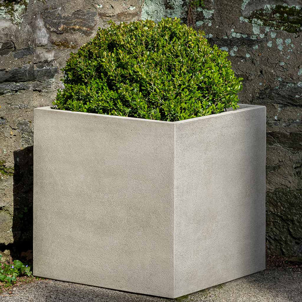 BOXWOOD BALL Topiary, Boxball Cube