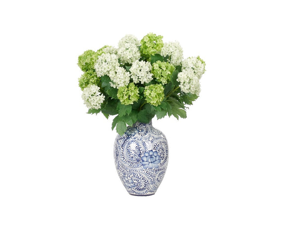 HYDRANGEA SNOWBALL Flowers