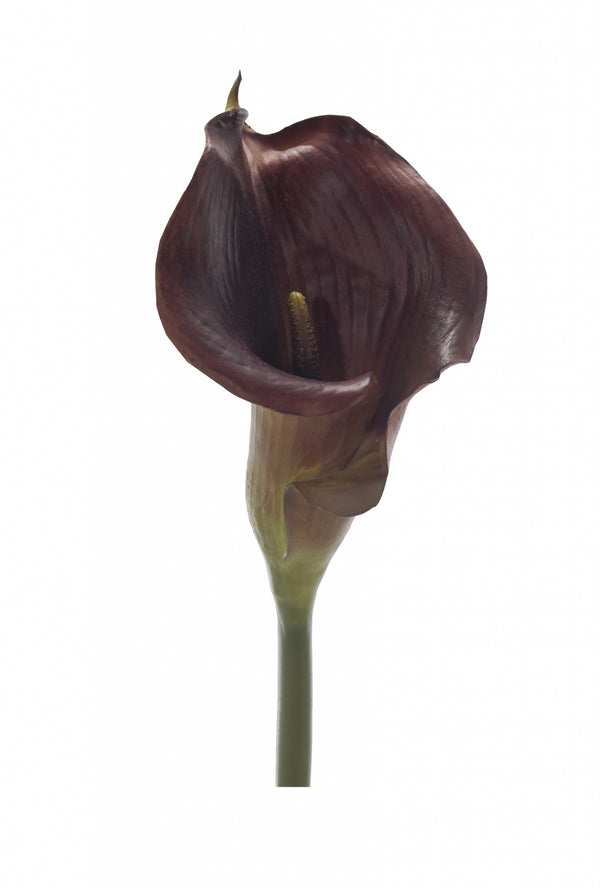 Calla Lily Chocolate | Box of 8