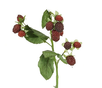 Raspberry Cluster Red | BOX OF 12