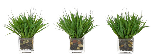 GRASS GLASS CUBE - SET OF 3