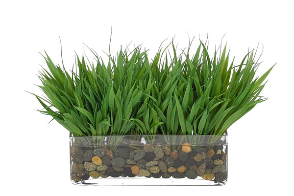 GRASS GLASS LOW RECTANGLE