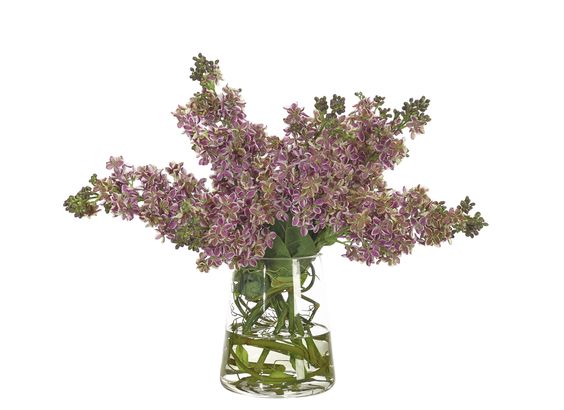 PURPLE LILACS IN A GLASS PYRAMID VASE