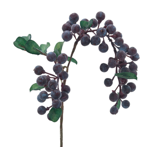 Berry Cluster Purple | BOX OF 36
