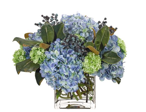 HYDRANGEA SNOWBALL