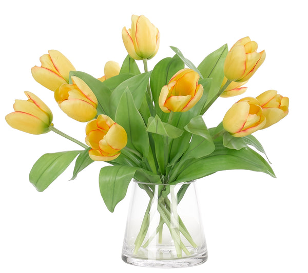 TULIP YELLOW