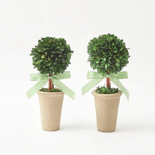 Boxwood Balls With Gingham Bows (Pair)