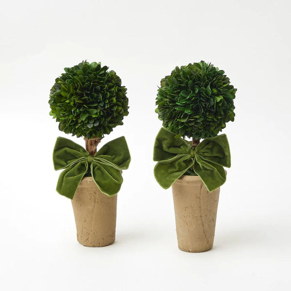 RIBBONED POTTED BOXWOOD BALL (PAIR)