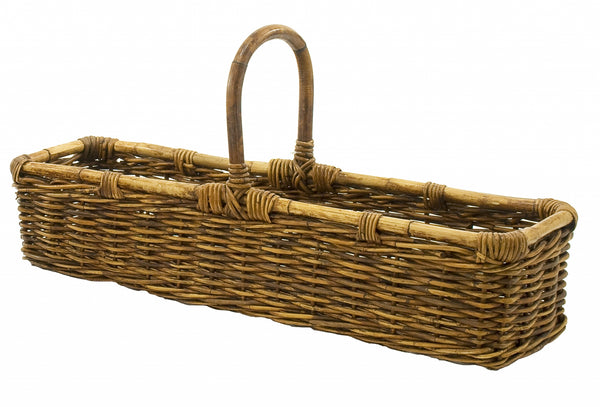 Basket Willow