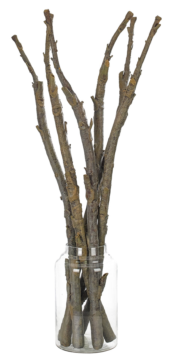 Twig | Box of 6