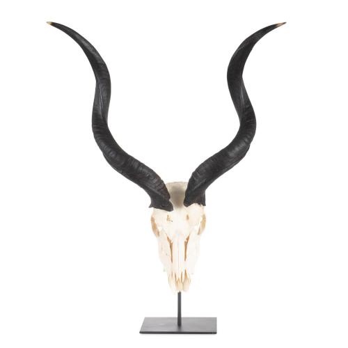 Mounted Natural Kudu Horn